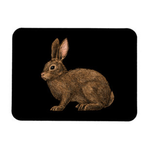 Rabbit 2 magnet