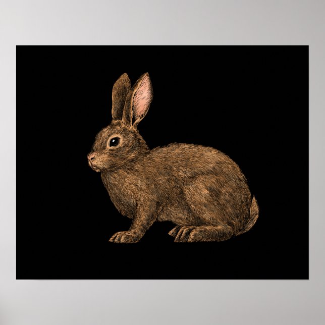 Rabbit 2 poster (Front)