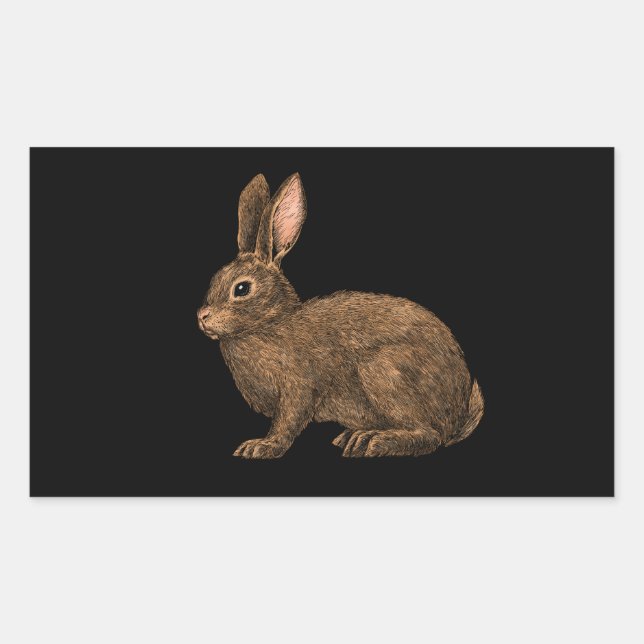 Rabbit 2 rectangular sticker (Front)