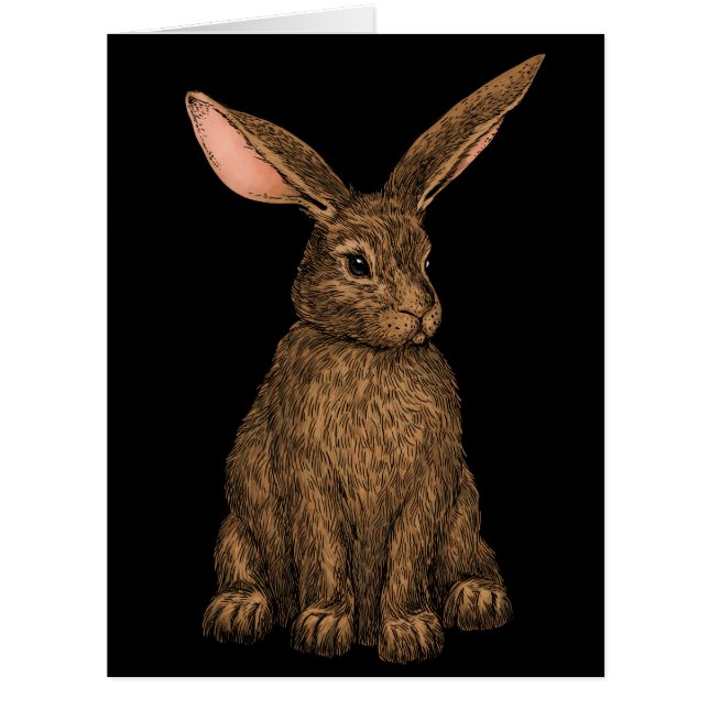Rabbit 3 (Front)