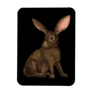 Rabbit 4 magnet