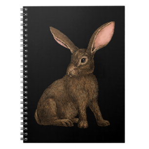 Rabbit 4 notebook