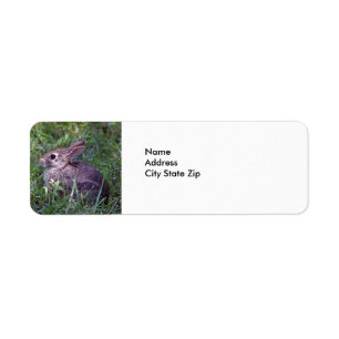 Rabbit 8603 return address label