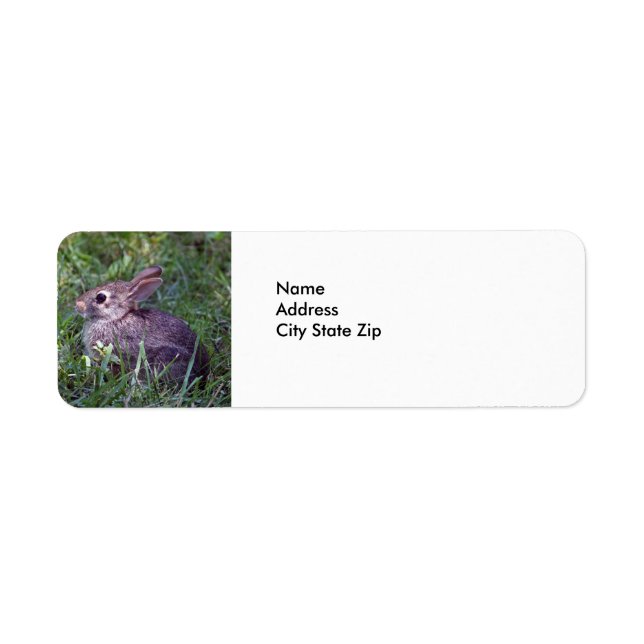 Rabbit 8603 return address label (Front)