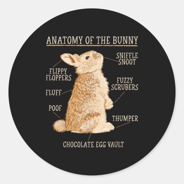 Rabbit Anatomy Bunny Lover Animal Pet Owner  Classic Round Sticker (Front)