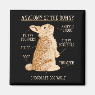 Rabbit Anatomy Bunny Lover Animal Pet Owner  Magnet