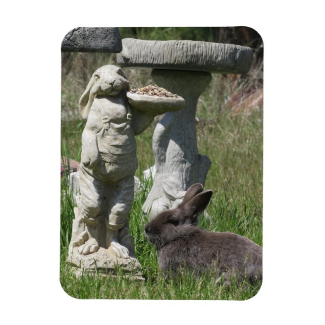 Rabbit and Bunny Statue Bird Feeder Magnet (Vertical)