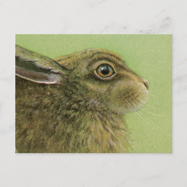 Rabbit animal fine art Postcard (Front)