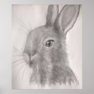 Rabbit Art Prints,Posters Poster