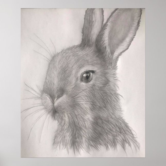 Rabbit Art Prints,Posters Poster (Front)