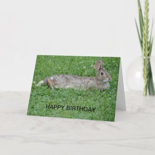 Rabbit, Birthday Card
