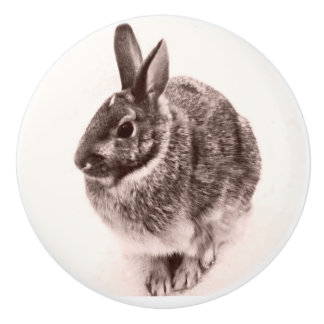 Rabbit Black and white nob ,drawer pull, Ceramic Knob