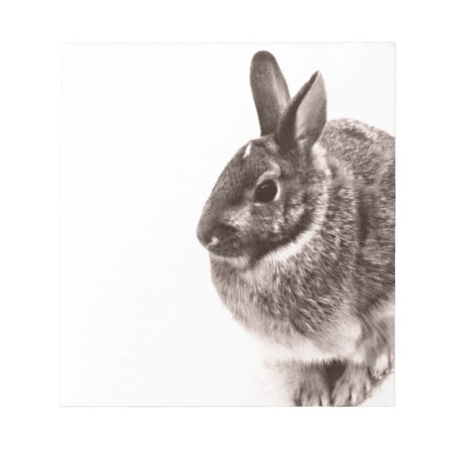 Rabbit  Black and white Notepad (Front)