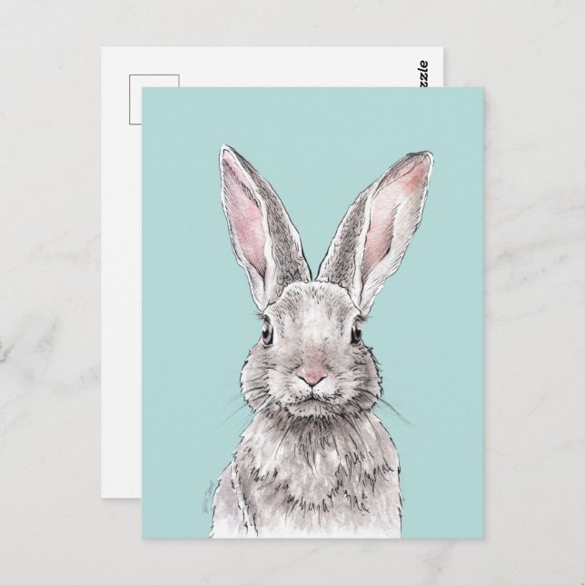 Rabbit Bunny drawing Cute Spring Animal art Postcard (Front/Back)