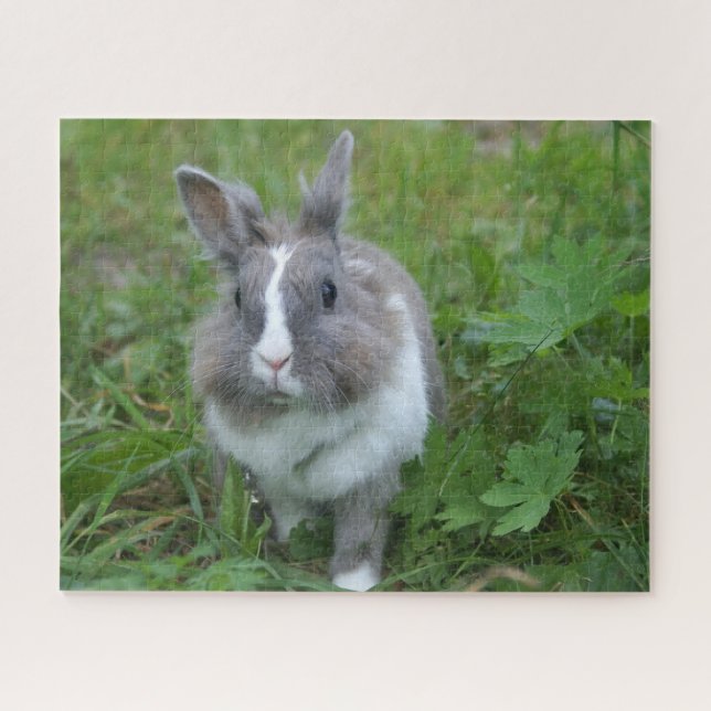 Rabbit bunny jigsaw puzzle (Horizontal)