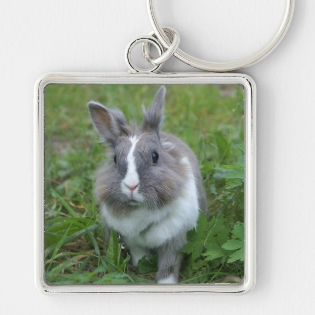 Rabbit bunny key ring (Front)