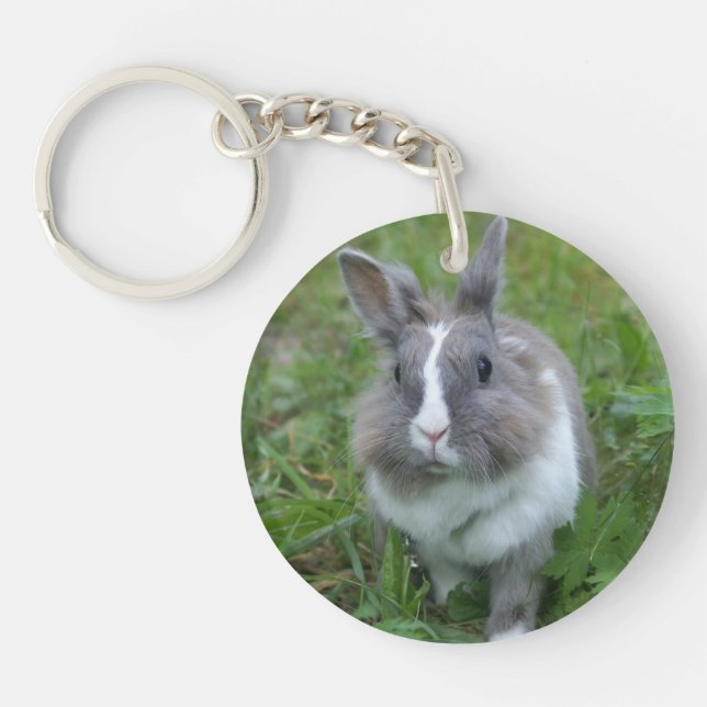 Rabbit bunny key ring (Front)