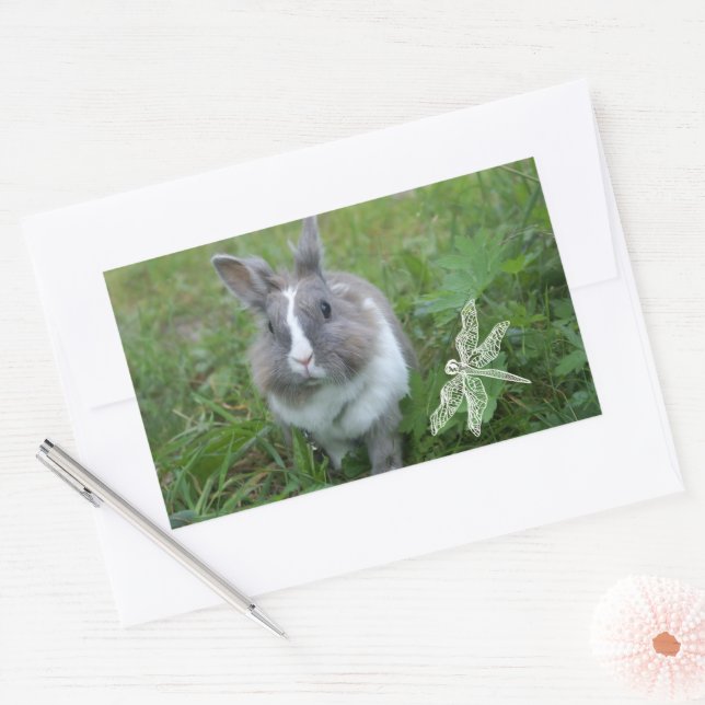 Rabbit bunny rectangular sticker (Envelope)
