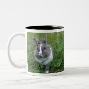 Rabbit bunny Two-Tone coffee mug