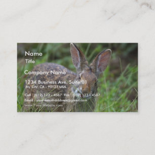 Rabbit Business Card