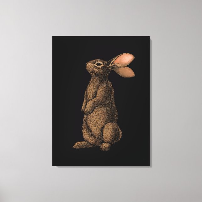 Rabbit Canvas Print (Front)