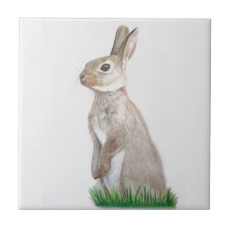 Rabbit Ceramic Tile