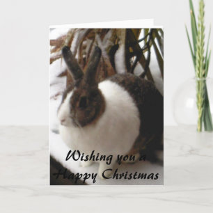 rabbit christmas card