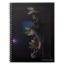 Rabbit Cinema Notebook