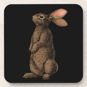 Rabbit Coaster