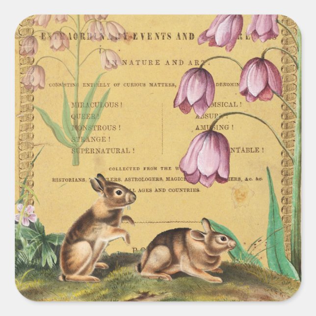 Rabbit Collage Sticker Journal Planner Packaging  (Front)