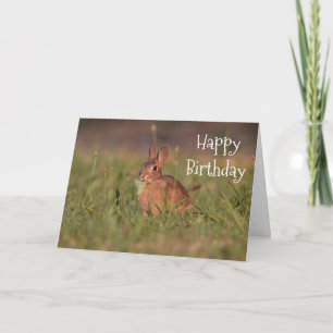 Rabbit Cottontail Card