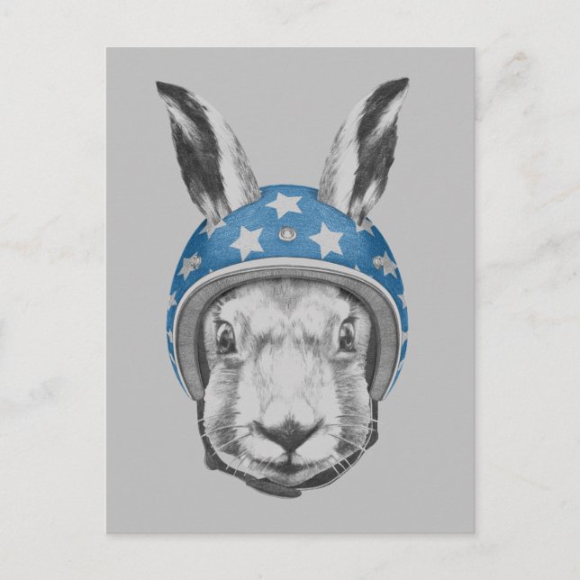 Rabbit Daredevil Postcard (Front)