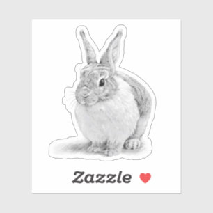 Rabbit Day