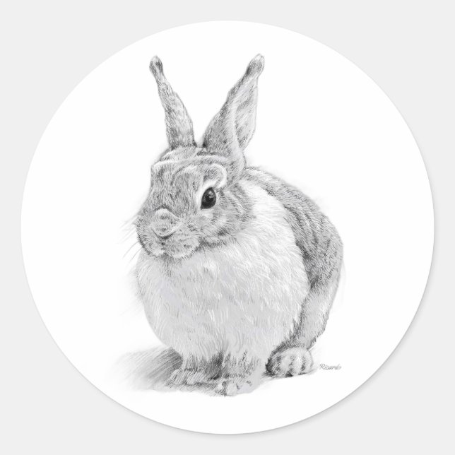 Rabbit Day Classic Round Sticker (Front)