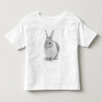 Rabbit Day Pencil Drawing