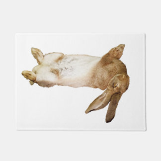 rabbit door mat