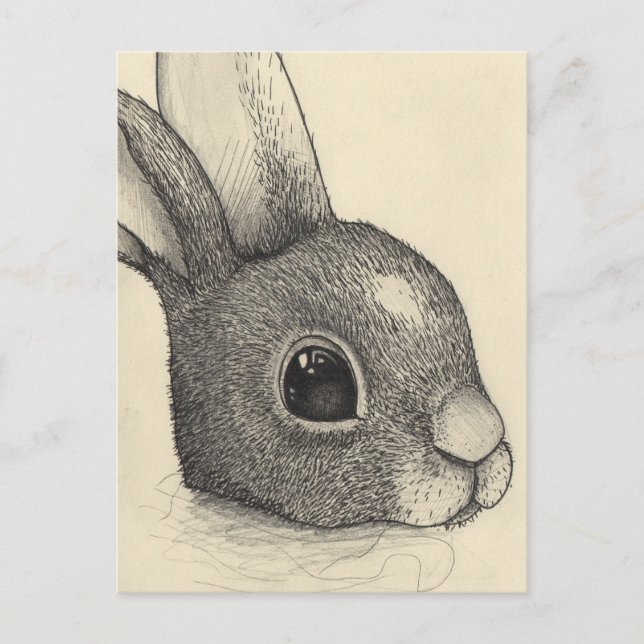 Rabbit eyes holiday postcard (Front)