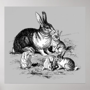 Rabbit Family - Archival Print