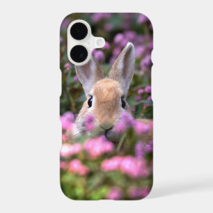 Rabbit farm