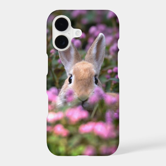 Rabbit farm (Back)
