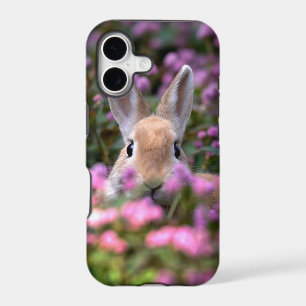 Rabbit farm