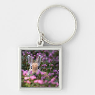 Rabbit farm key ring
