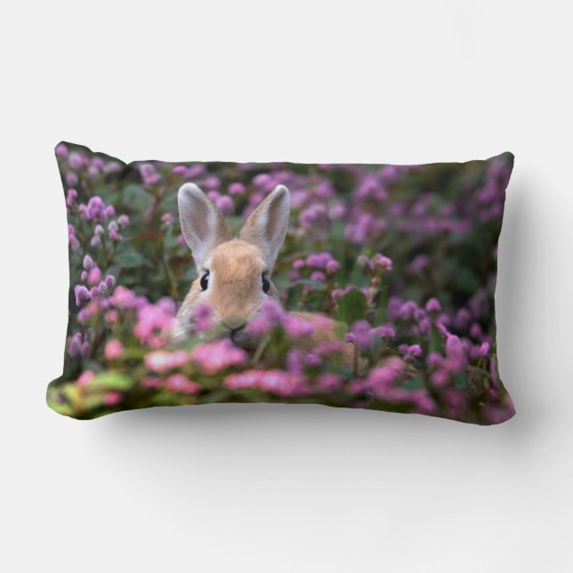 Rabbit farm lumbar cushion (Front)