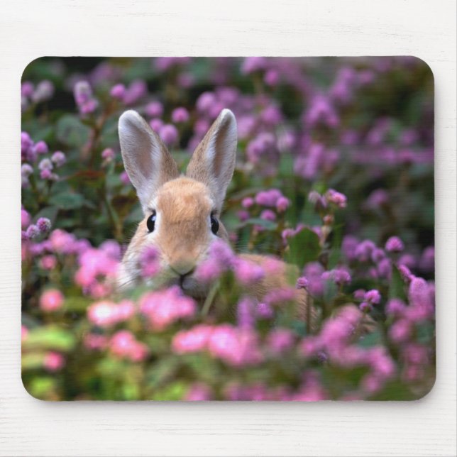 Rabbit farm mouse pad (Front)