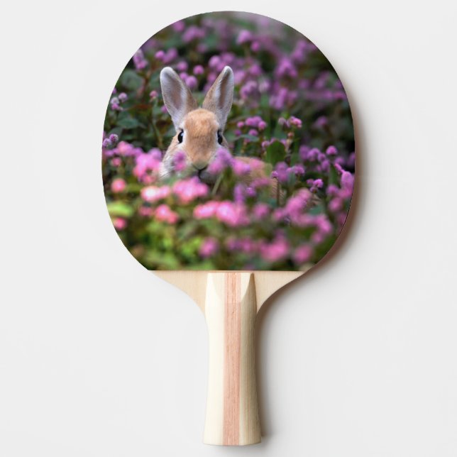 Rabbit farm ping pong paddle (Front)