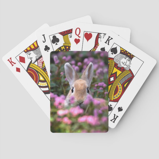 Rabbit farm playing cards (Back)
