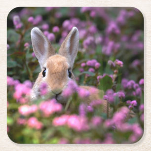Rabbit farm square paper coaster