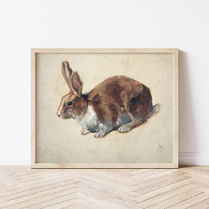 Rabbit   Floris Verster Poster