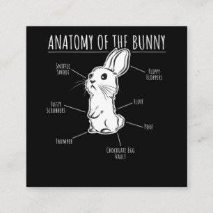 Rabbit Gift  Anatomy Of Bunny Cute Rabbit Pet Love Square Business Card