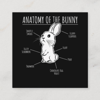 Rabbit Gift |Anatomy Of Bunny Cute Rabbit Pet Love Square Business Card
